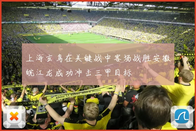 上海玄鸟在关键战中客场战胜安徽皖江龙成功冲击三甲目标