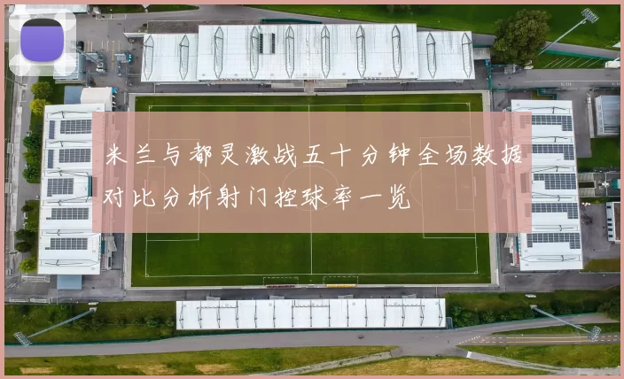 米兰与都灵激战五十分钟全场数据对比分析射门控球率一览