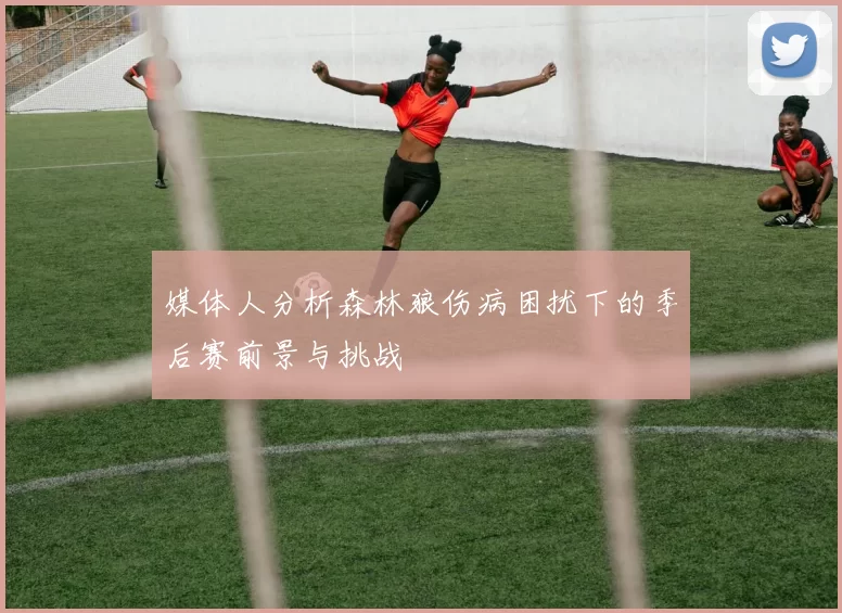 媒体人分析森林狼伤病困扰下的季后赛前景与挑战