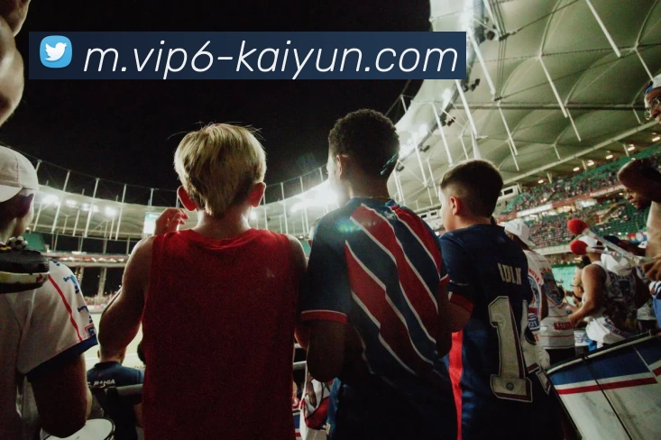 开云体育平台生态图