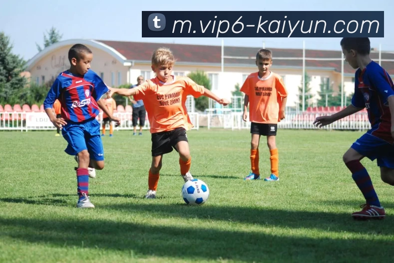 开云体育APP 封面图